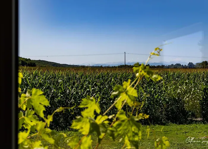 Les Petits Faulongs Salviac